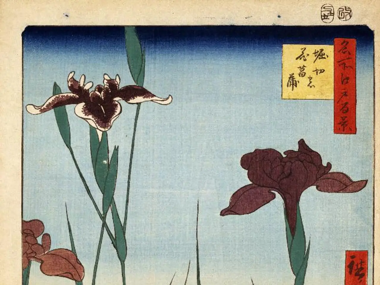 Top-Notch Nature Exploration Cards for Engaging Education, Providing Daily Awe-Inspiring Lessons