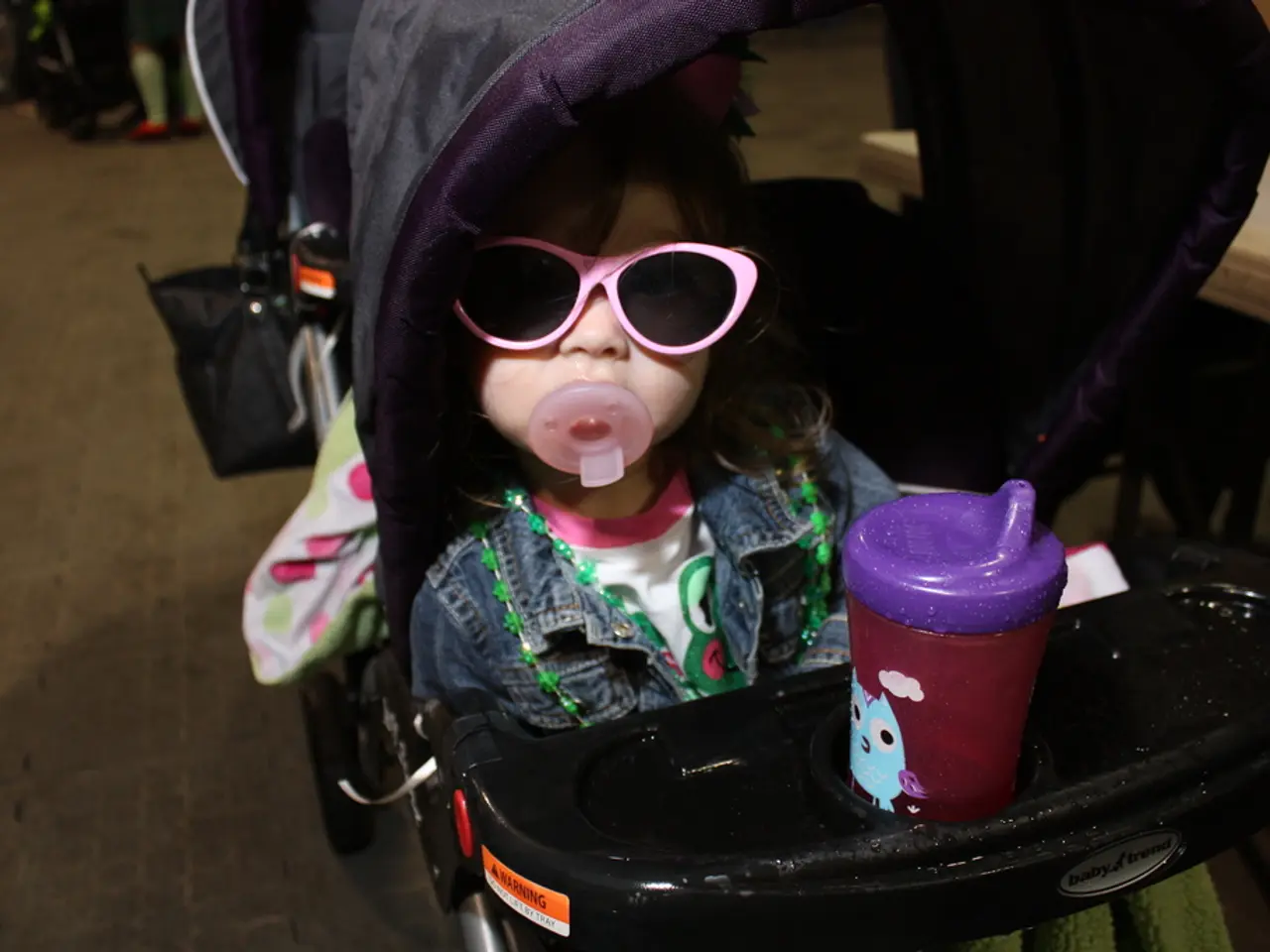 The Commission has approved a Community pledge to support the European Investment Bank's funding of...