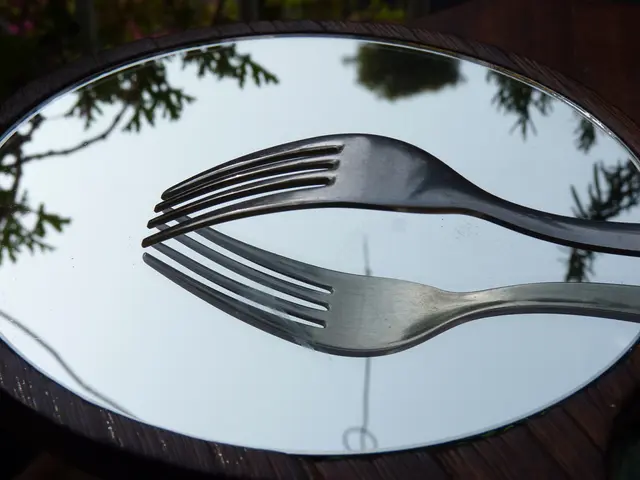 Tax Classification: Direct vs Indirect Taxation and Illustrations