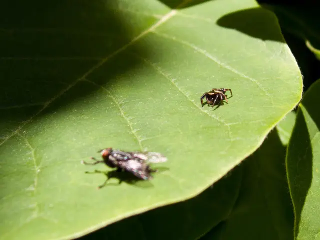 Job Openings announced for Nagarik Lagani Kosh (CIT) in the year 2082