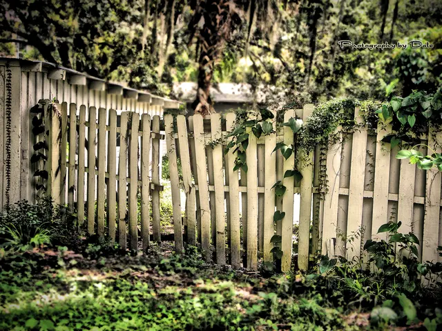 World's Biological Diversity Day: Smaller Actions for a Greater Nature Conservation