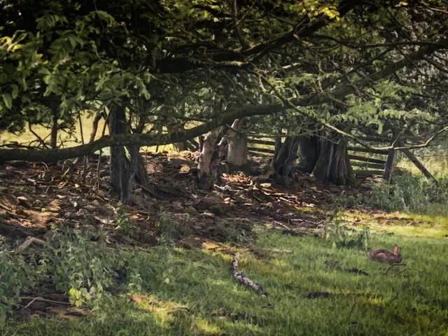 Commencing a fresh chapter in existence