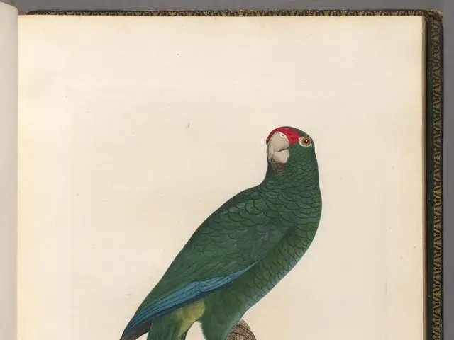 DIY Book Character Costumes: Simple and Quick Guide