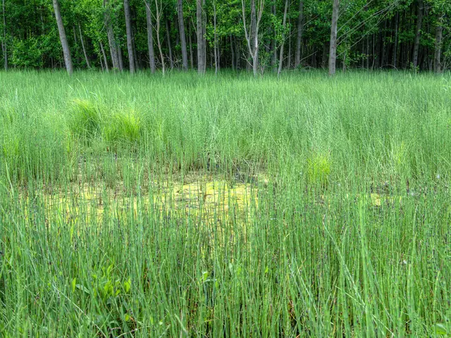 Navigating Policy and Farm Financing: Kuldeep Singh Rana's Inspirational Expedition in Farmer...