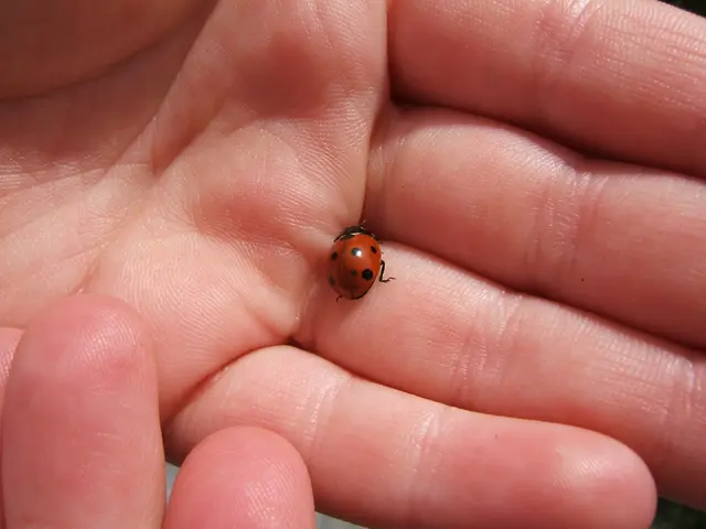 Thumb Sucking in Adults: Understanding the Roots, Consequences, and Methods to Quit