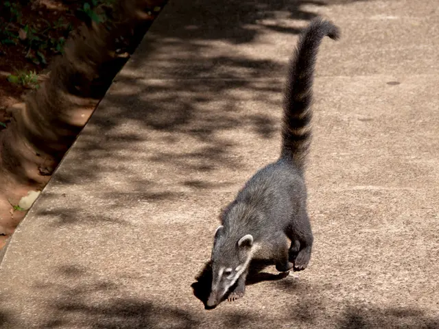 Digestive troubles and spinning sensations: Causes and remedies