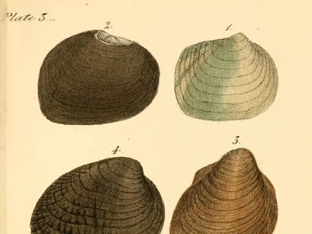 Exploring the Fundamentals of Linux Command Line Interface and Scripting Programs