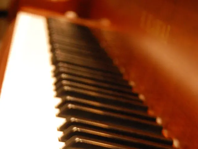 Examining the Effects of the Shapiro Professorship