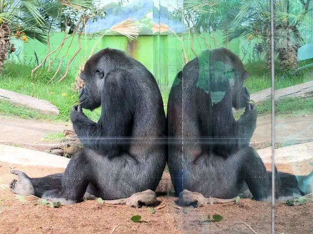 The Enduring Significance of the Scopes Trial a Century After Its Occurrence