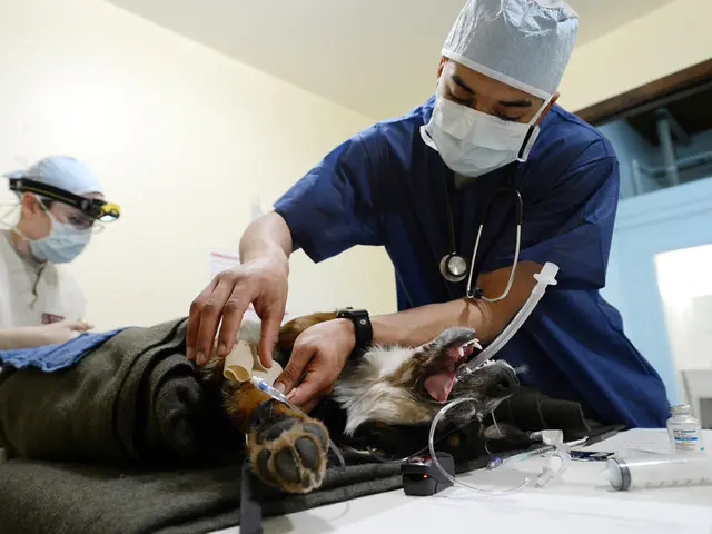 Transmission of Coronavirus: Understanding its Spread Patterns and Prevention Strategies