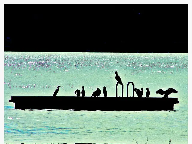 Guide for Creating a Watercolor Portrait of the Monet Bridge for Children