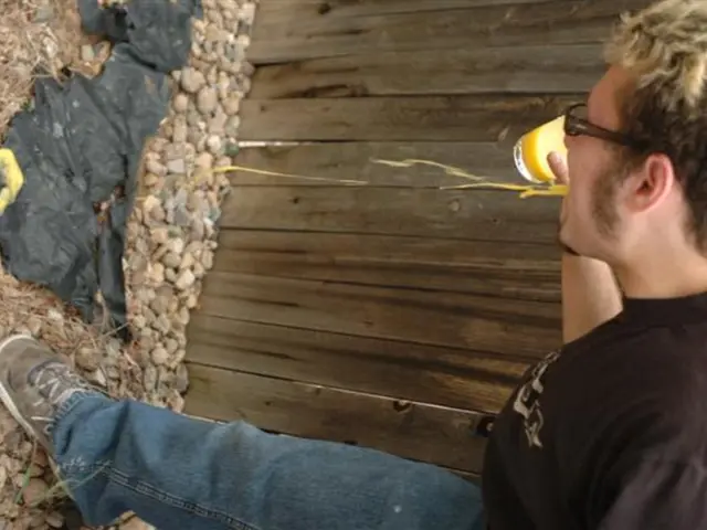 Guidelines for Purifying Personal Aura Following Exposure to Negative Individuals