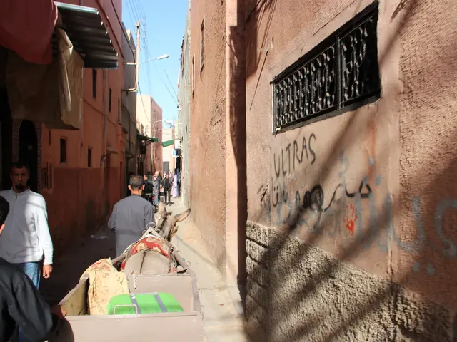 US academic temporarily suspended for portraying 7 October attacks in Israel-Palestine conflict as...