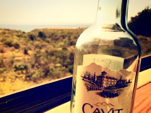 Choosing the Right Location for American Ginseng Cultivation in Ohio