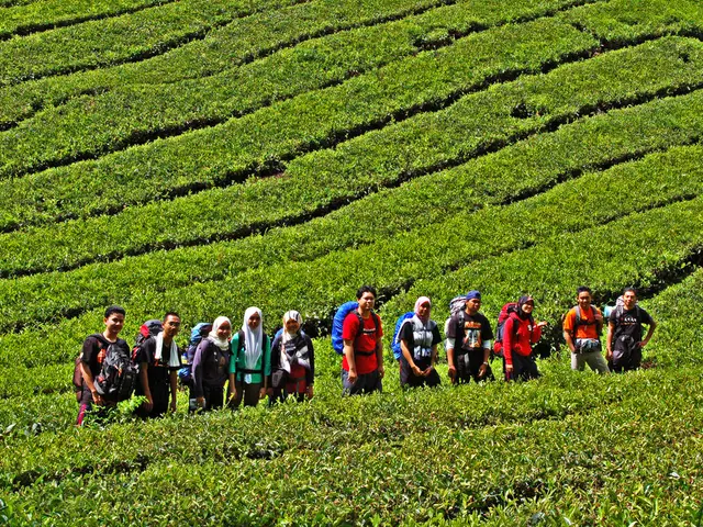 Research Findings: Migrant identities may reduce job training opportunities by half