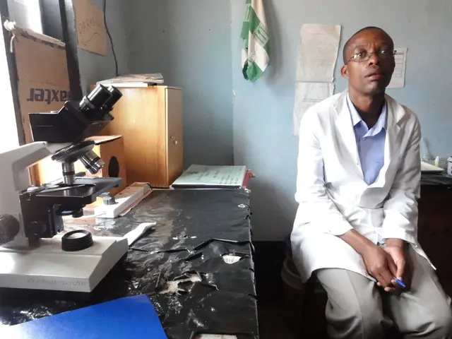 Exploring destinations for Bionics education: a guide