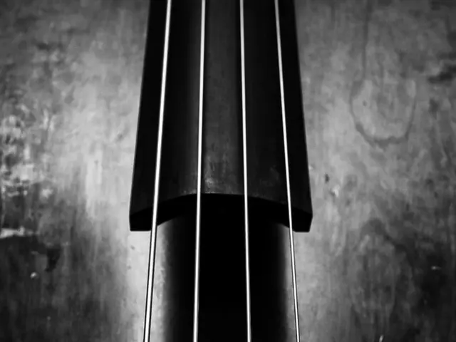 Understanding Music: Breakdown of Suspended (Sus) Chords for Musicians