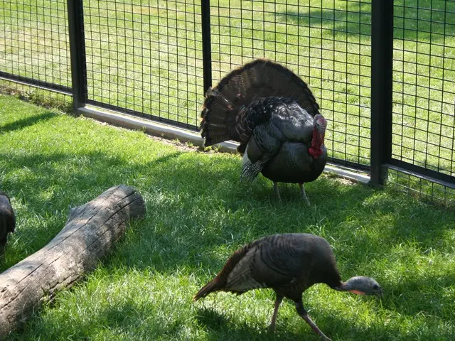 Flamingo sanctuary in Bhandup receives bird park clean-up, prompting ecological alarm among...