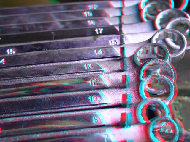 Monitoring Academic Institutions Attended by American Scholars