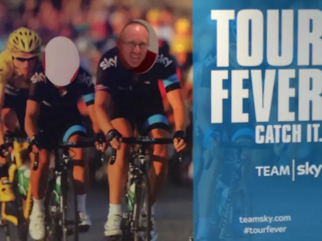 Memory Characteristics in Humans and Their Role in Data Representation