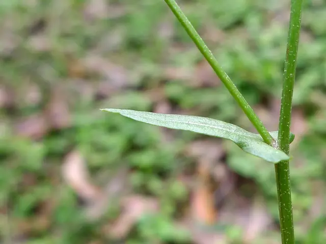 Exploring PhET: Its Purpose and Educational Applications, plus Updates and Suggestions for...