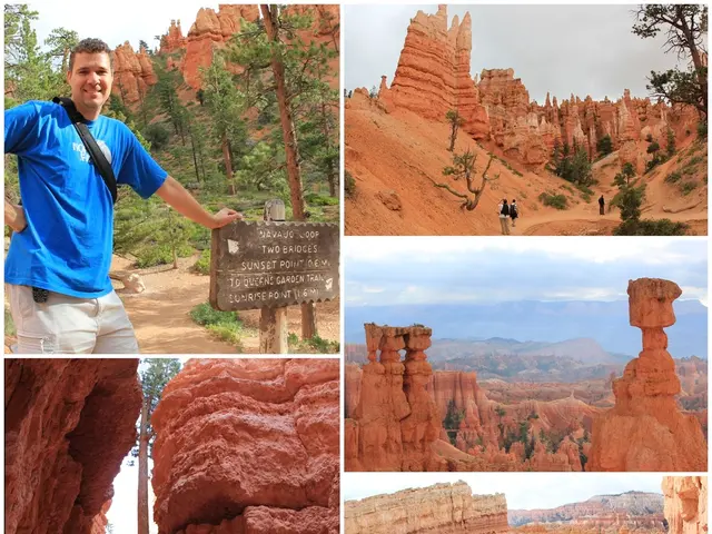 American museums' influence on a Turkish heritage educator, spurring efforts to revamp archaeology...