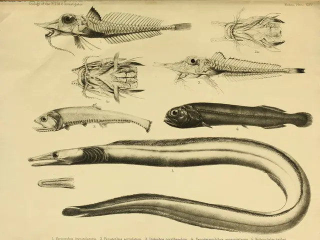 Deadly Clashes Between Top-tier Prehistoric Predators According to New Research