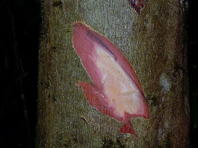 Is There a Specific Group 6 Subject Advantageous for STEM (Science, Technology, Engineering,...