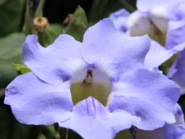 Comprehending These 7 Habits Requires a Steadfast and Disciplined Mindset