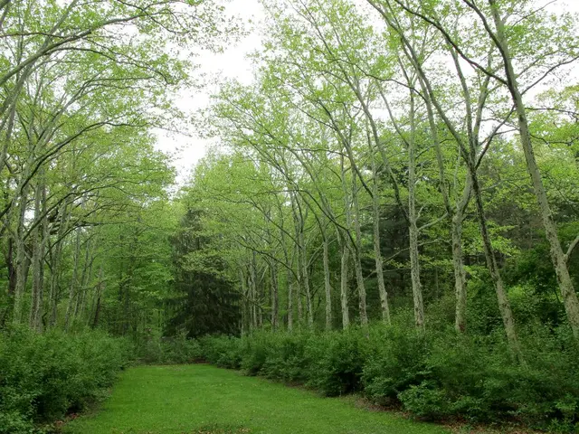 Organic farm in Devon embraces diversified wildlife, including marijuana, snails, burrowing...