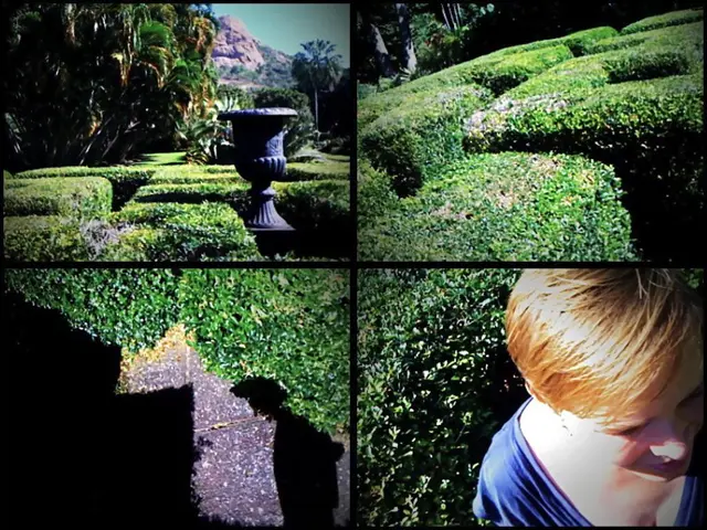 Celebrating Diversity Among Youth Worldwide on International Youth Day