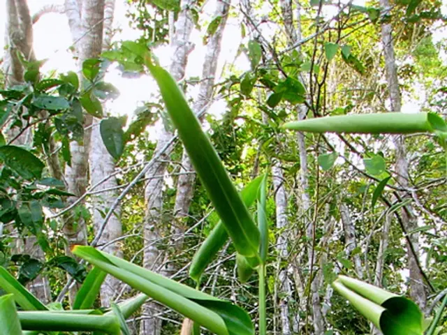 "BiZ provides information on educational programs for eco-friendly careers"