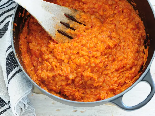 Embracing KnoPro: Utilizing It for Backing CTE (Chronic Traumatic Encephalopathy)