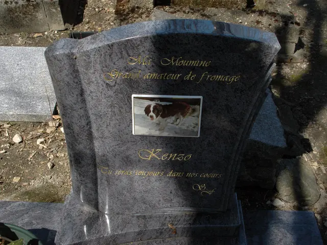 The fate of your digital presence: An exploration of what becomes of your online data upon your...