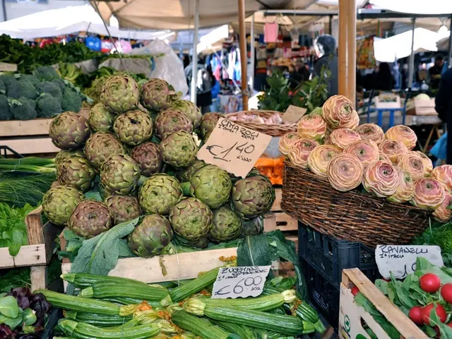 Summer operations commence at Albatross camp in Kamchatka