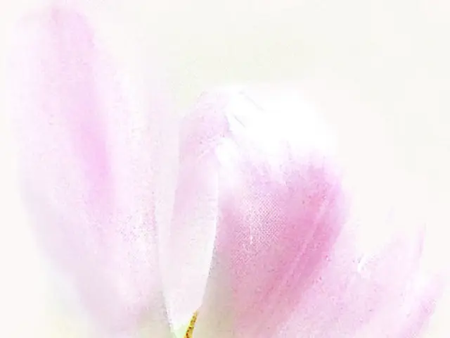 Vibrant Floral Artwork represented through Pastel Paintings