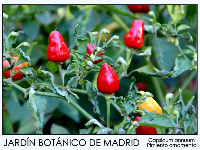 Research Position: ICAR-IARI, New Delhi offers Project Associate-II Vacancy