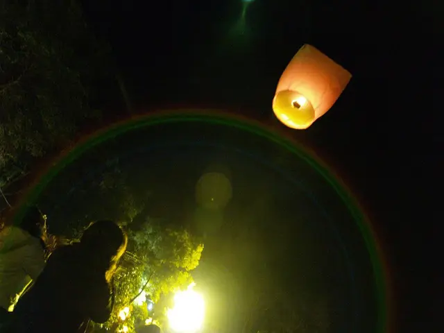 What is the height of the world's smallest individual?