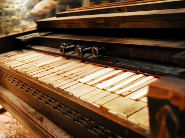 Park University's Stanislav Ioudenitch has been honored by being inducted into the Steinway Teacher...