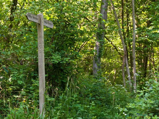 Significance of Persistent Effort in Human Existence