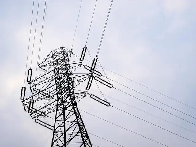 Starlink Activated in Democratic Republic of Congo, Significantly Broadening Its Presence in Africa