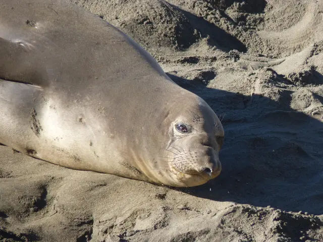 Prioritizing network security: Insights from NIST's experiences with DNS