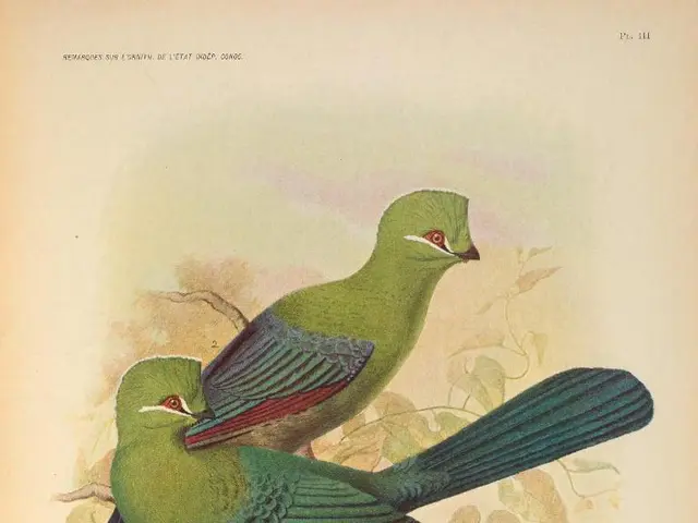 Graduate student from ethnomusicology field honored with award during Society for Ethnomusicology...