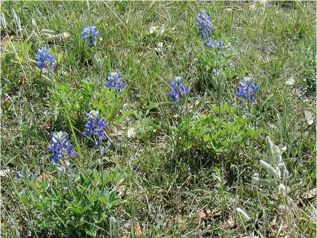 Icar-RCER, Patna holds 23rd IMC meeting; Dr. P.S. Pandey, vice-chancellor of Dr. RPCAU, emphasizes...