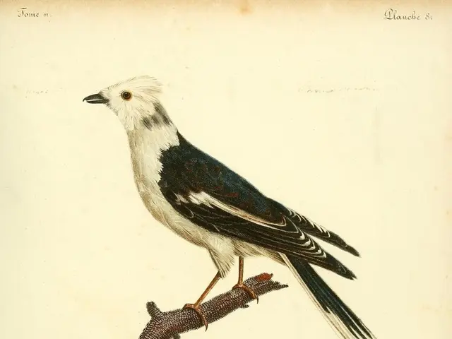 Elder and Historian of the Crow Tribe, Joe Medicine Crow, Passes Away at 102 Years