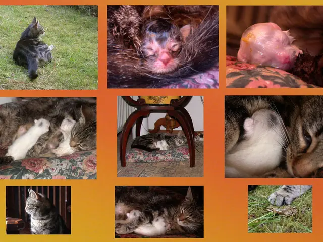 New Initiative in Biotechnology: In Hyderabad, India's First Animal Stem Cell Biobank is Officially...