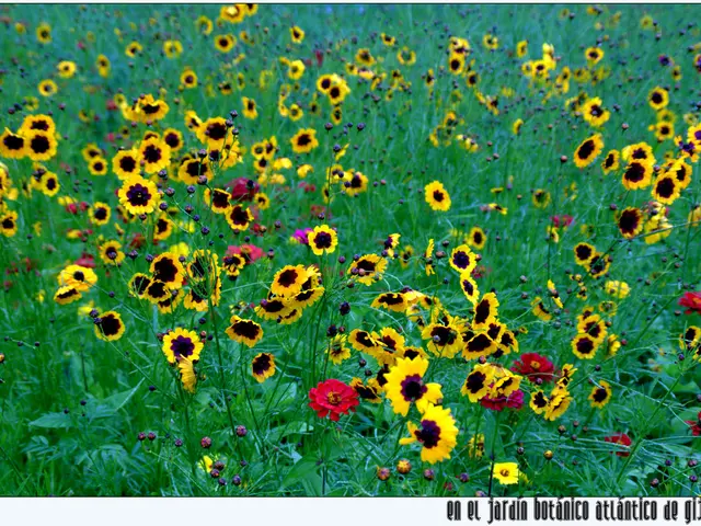 Venus and Jupiter's Close Encounter on August 12 and Its Impact on Your Astrological Sign...