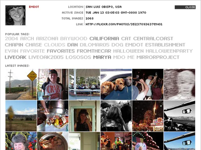 Inquiry about a Prominent Query: Meaning and Explanation