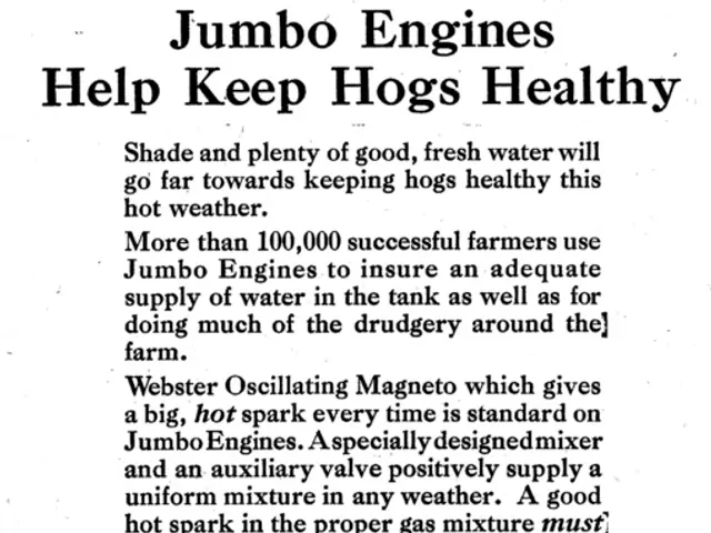 AI Grammar Corrector: Your Safeguard Against Language Mistakes