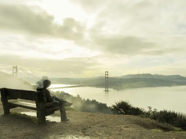 Guidelines for Using the App